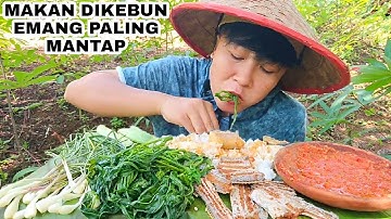 MAKAN DIKEBUN SAMBAL ULEK, DAUN SINGKONG REBUS ,IKAN GORENG LENGKAP RASANYA #mukbanglalapan