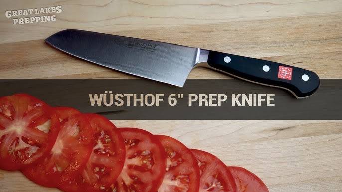 Wusthof classic ikon clones?Recently started upgrading my old cheap knifes  with wusthof classic ikons, but I don't want to spend over $100 per steak  knife. These look close enough imo it won't