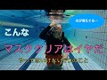こんなマスククリアはイヤだ【スキューバダイビング】