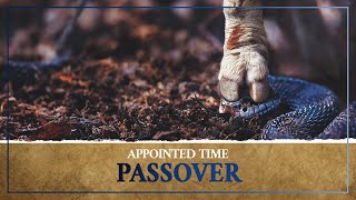 A Deeper Look Into The Prophetic Power of Passover
