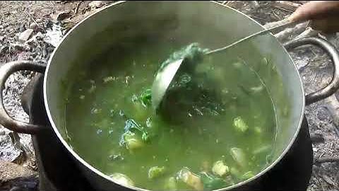 CANH BỘT Ê ĐÊ | DJAM PUNG, DJAM TÊ