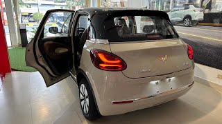 New Model 2024 Wuling Bingo - Mini EV