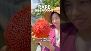 STOP Eating Tomatoes Until You Try Gac Fruit
I Tried Gac Fruit — a Superfood 70x Stronger Than Tomatoes! 🍅
Have you ever heard of Gac fruit (Momordica cochinchinensis)? This exotic superfood is packed with nutrients and contains 70x more lycopene than tomatoes! Known as the fruit from heaven, Gac is rare, vibrant, and highly valued in Southeast Asia for its health benefits.
In this video, I’m taking you to a wet market in Saigon to show you this unique fruit up close. Ill share some fascinating facts about Gac, including why its considered a nutritional powerhouse. And, of course, I’ll do a taste review—does it taste sweet, creamy, or completely unexpected? Let’s find out!
#GacFruit #ExoticFruits #RareFruit #Superfood #FruitFromHeaven #MomordicaCochinchinensis #TasteTest #LycopeneBoost STOP Eating Tomatoes Until You Try Gac Fruit