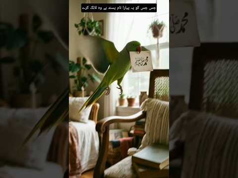 beautiful name Mohammed saw #viral #parrot #trending #islamic