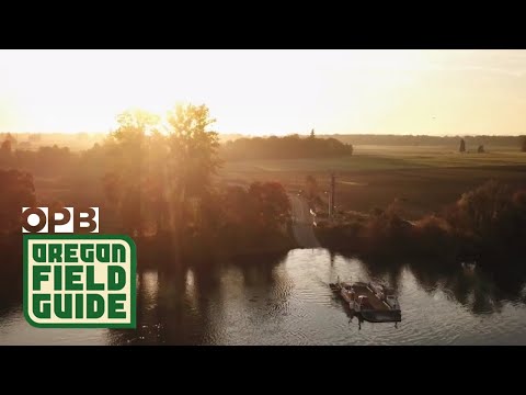 Video: 14 Bilder Jag Tog Cykling Från Oregon Till Virginia - Matador Network