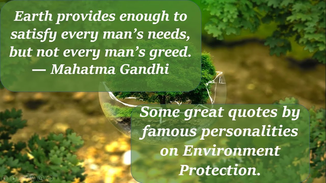 World Environment Day|Great quotes by famous personalities on