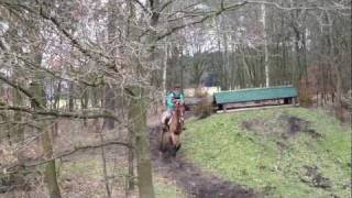 1E Cross Training 2012 In Ysselsteyn Met Nikita En Myrle 26-2-2012