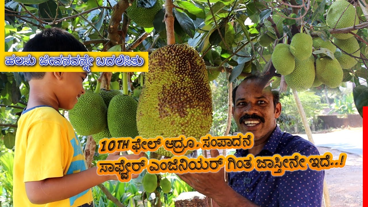 🔥10th ಫೇಲ್ ಆದ್ರೂ, ಸಂಪಾದನೆ.. ಸಾಫ್ಟ್ವೇರ್ ಎಂಜಿನಿಯರ್ ಗಿಂತ ಜಾಸ್ತೀನೇ ಇದೆ..! 💯|Jack Anil|Ninnikallu Nursery