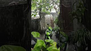 ujan bentar langsung banjir #denpasar