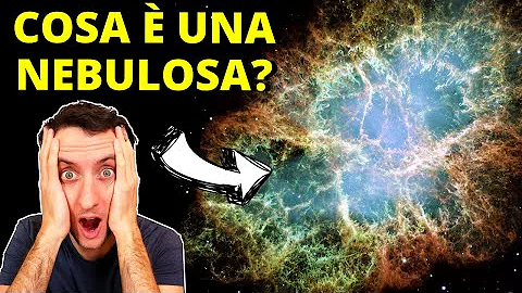 Che cos'è per te la curiosità?