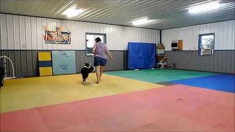 Harmony - Artistry - Delayed Reinforcement