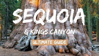 Sequoia & Kings Canyon National Parks: World's Largest Trees 4K