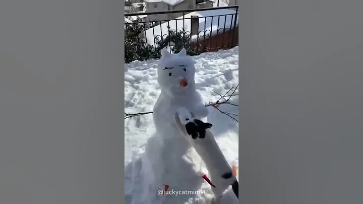 Video 9120801: cats funnycats catlover, cat playing funnycats, cats catlover funny, cat funny snow