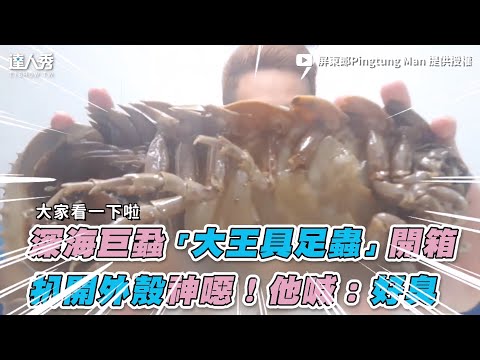 【深海巨蝨「大王具足蟲」開箱 扒開外殼神噁！他喊：好臭】｜屏東郎Pingtung Man