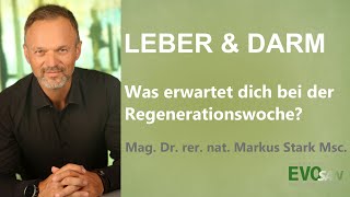 Leber & Darm: Was erwartet dich bei der Regenerationswoche mit Markus Stark?