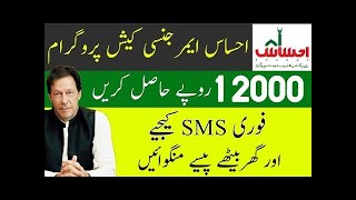 HOW TO APPLY FOR PRIME MINISTER AHSAAS LABOR PROGRAM /How to Register Insaaf Imdad screenshot 2