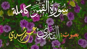 سورة القمر | تلاوه هادئه - عمر رشدي  omar rushdy