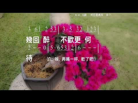 何日君再來 詞:貝林 曲:晏如 伴奏版 簡譜 樂器 中文字幕
