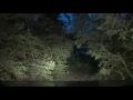 A Creepy Drive In A Roundtop TX forrest