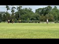 Rolling 3 Punt Snaps (Southeastern Louisiana camp Contest)