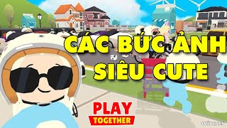 Xem ngay ảnh cute Play Together để thưởng thức cảnh những đôi bạn thân chơi đùa vui nhộn cùng nhau. Hãy cùng tận hưởng niềm vui đơn giản mà thật sự ý nghĩa từ những hình ảnh đáng yêu này.