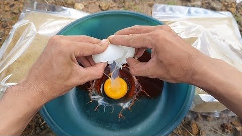 Mồi Câu cá trôi, chép, rô phi, Mè Vinh, Hiệu Quả - Dễ Làm | Carpbait | Mồi mới | Đam Mê Câu Cá TV