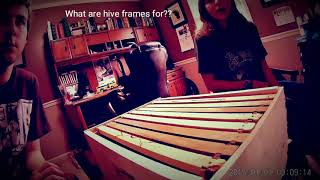 Hive Frames - Bee Space