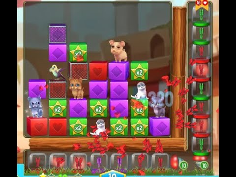 Pet Casino Treasure Hunt Puzzle – Rayggle Pets