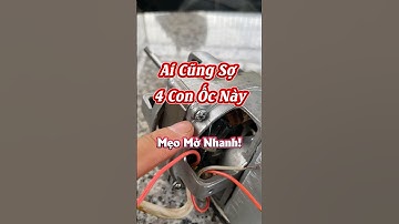 Mẹo mở ốc quạt nhanh gọn #xuhuong2024 #viralreels #review #virals #reels2024 #shortvideo #meovat