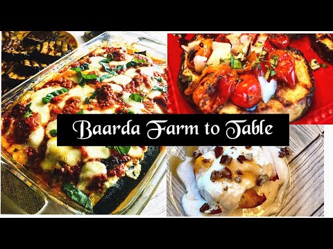 “Farm to Table Recipes” Zucchini Steaks/ Peaches & Cream/ Zucchini Lasagna- Baarda Farms