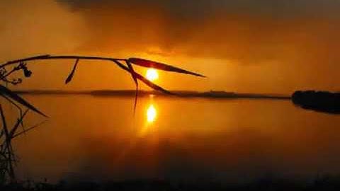 اروع تلاوه الطفله براءه صوت ملائكي بكل ما تعنيه الكلمه