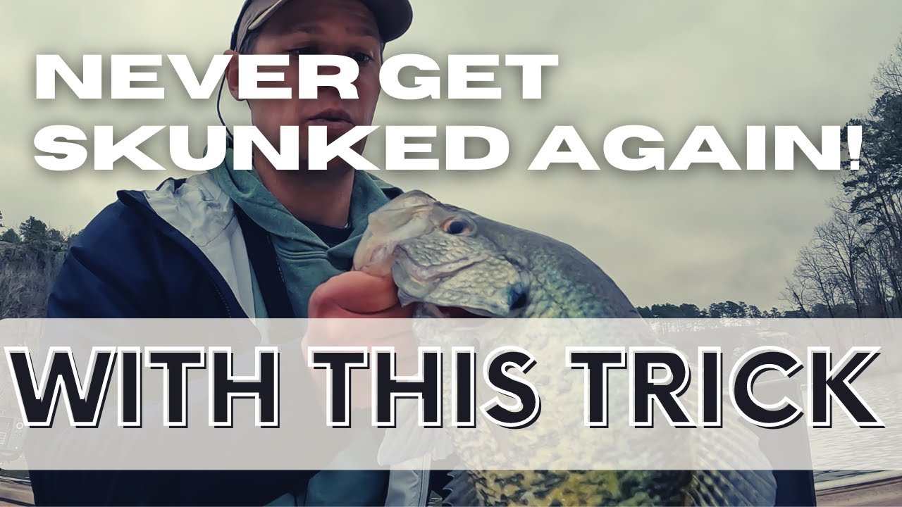 Trout Magnet: Catching Them All Hook, Line, and Sinker - Only In