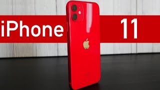 Полгода с iPhone 11