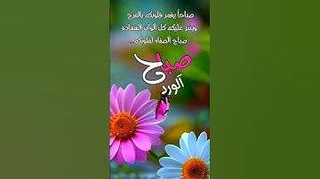 أذكار الصباح#دعاء_الصباح #صباح_الخير #دعاء #اكسبلور #اسلاميات #مشاري_العفاسي