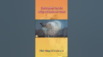 Chiếc bướu giúp lạc đà sống sót trong cả mùa đông lẫn mùa hè