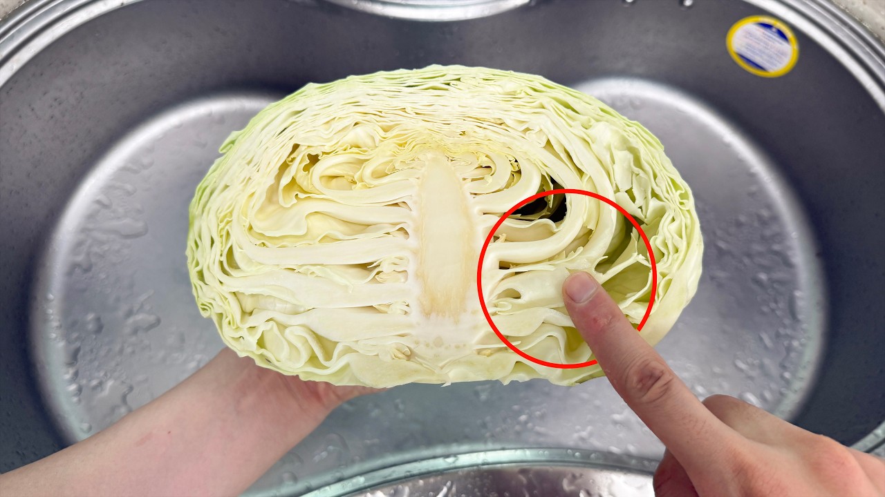 양배추 계란 볶음