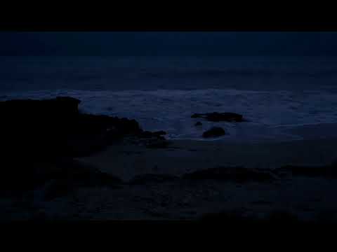 Moses Sumney -
