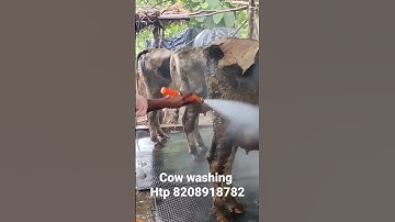 htp स्प्रेयर set, sprayer for dairy farm ( 16500 rs set )