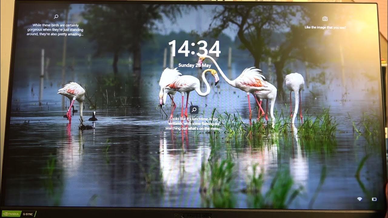 how-to-change-speakers-volume-on-acer-predator-xb3-youtube
