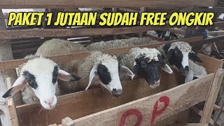 PAKET BREEDING TERMURAH MULAI 1 JUTAAN SUDAH FREE ONGKIR DI SAYAPE JAGAD FARM KEDIRI