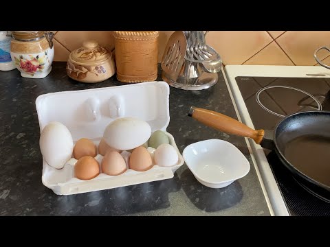 Видео: Глазунья из гусиного яйца первый раз в жизни