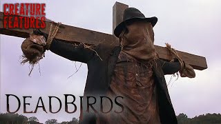 An Unknown Creature Shot In The Fields | Dead Birds | Creature Features