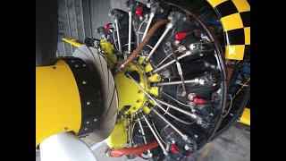 Yak 52 Idle