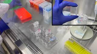 Wastewater Monitoring for SARS-CoV-2 (COVID-19) RNA