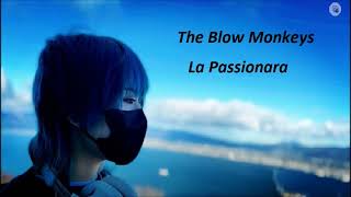 The Blow Monkeys  -  La Passionara