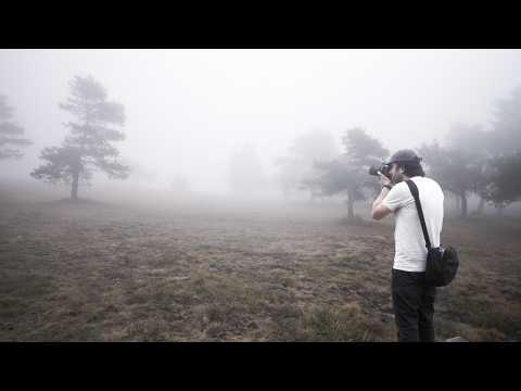 A lovely foggy morning of photography