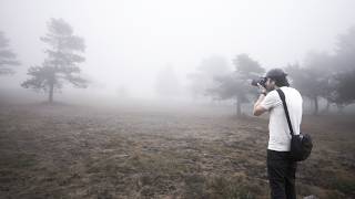 A lovely foggy morning of photography