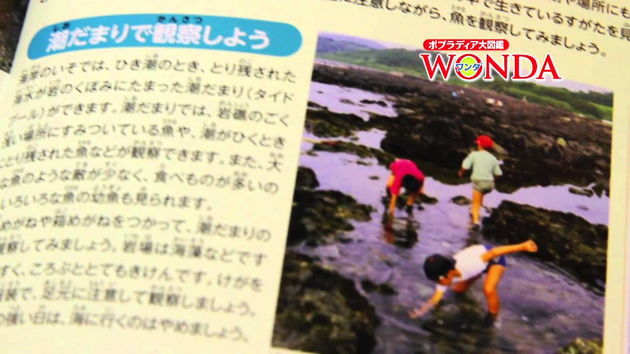 ポプラディア大図鑑 WONDA ⑥「魚」 夏休みの自由研究