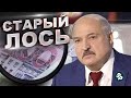 Лукашенко в шоке Белорусы перекрыли дорогу на границе