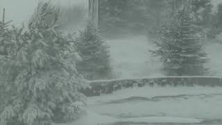 : Epic Snowstorm | Howling Blizzard Sounds | Heavy Wind & Snow | Perfect Sounds For Sleep